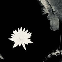 Наоборот - Miyagi & Эндшпиль