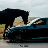 Purosangue - Jakone, MACAN