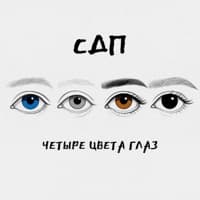 Четыре цвета глаз - СДП